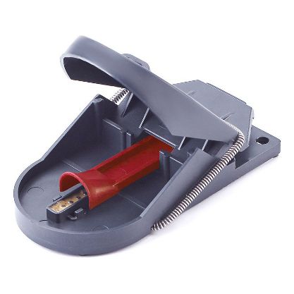 Vis detaljer for MUSEFELLE SUPERCAT 2-PAK 42685981